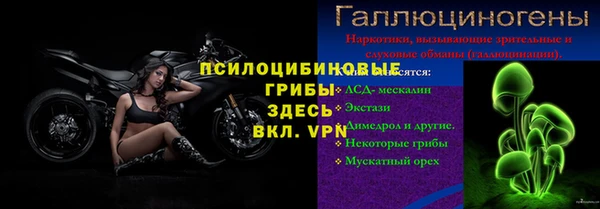 твердый Володарск