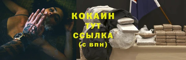 крисы Верхний Тагил
