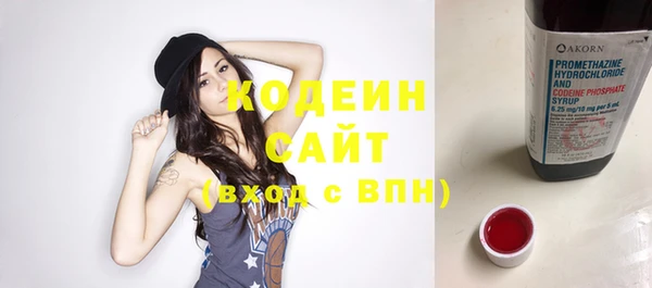 крисы Верхний Тагил