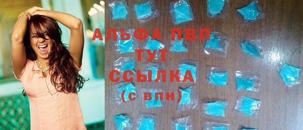 крисы Верхний Тагил