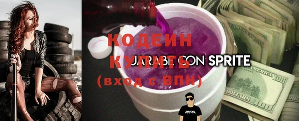 крисы Верхний Тагил