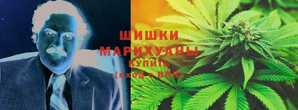 крисы Верхний Тагил